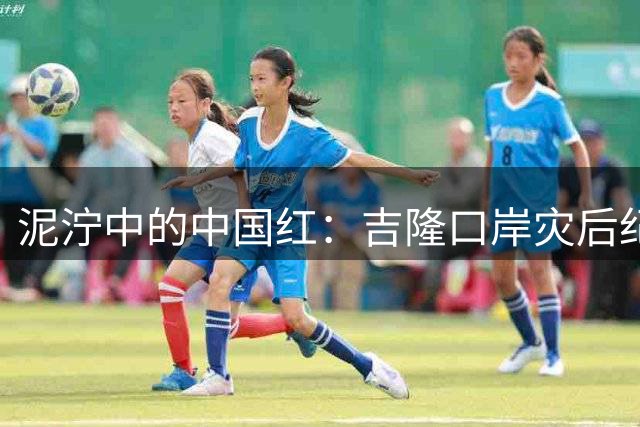 泥泞中的中国红：吉隆口岸灾后纪实
