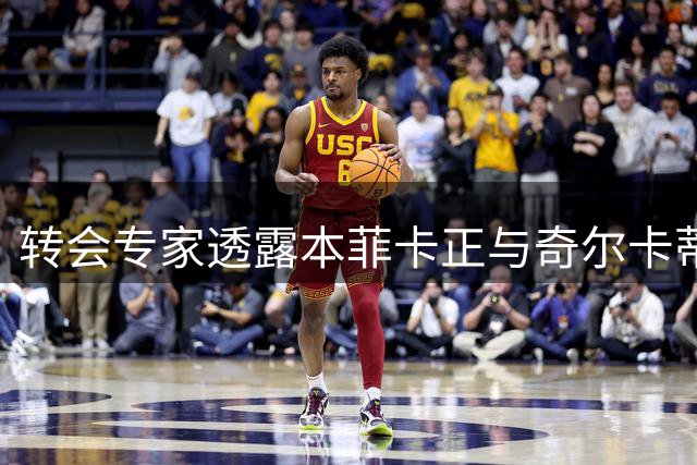转会专家透露本菲卡正与奇尔卡蒂展开签约谈判